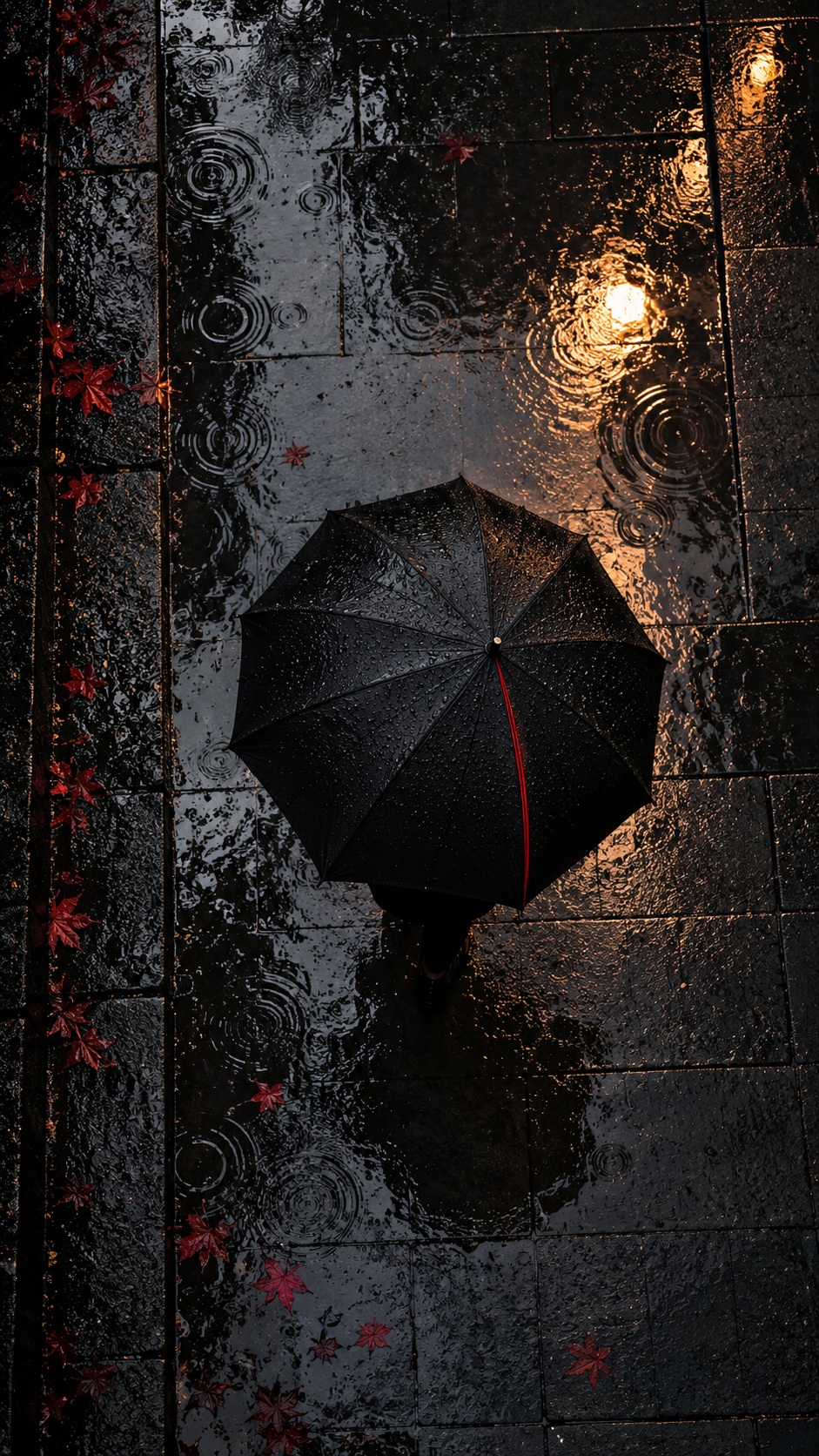 A solitary umbrella and red maple leaves reflected in rain soaked stone.