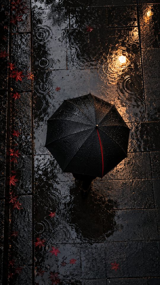 A solitary umbrella and red maple leaves reflected in rain soaked stone.